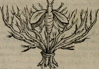 An illustration from Memorie, imprese, e ritratti de' signori Accademici Gelati de Bologna (1672)