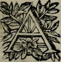 An illustration from Memorie, imprese, e ritratti de' signori Accademici Gelati de Bologna (1672)