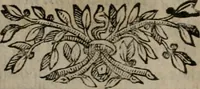 An illustration from Memorie, imprese, e ritratti de' signori Accademici Gelati de Bologna (1672)