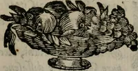 Picture 239 of 257 from Memorie, imprese, e ritratti de' signori Accademici Gelati de Bologna (1672), leaf 412
