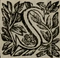 An illustration from Memorie, imprese, e ritratti de' signori Accademici Gelati de Bologna (1672)