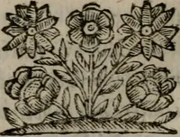 Picture 241 of 257 from Memorie, imprese, e ritratti de' signori Accademici Gelati de Bologna (1672), leaf 415