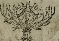 An illustration from Memorie, imprese, e ritratti de' signori Accademici Gelati de Bologna (1672)
