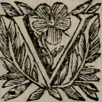An illustration from Memorie, imprese, e ritratti de' signori Accademici Gelati de Bologna (1672)