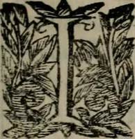 An illustration from Memorie, imprese, e ritratti de' signori Accademici Gelati de Bologna (1672)