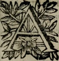 An illustration from Memorie, imprese, e ritratti de' signori Accademici Gelati de Bologna (1672)