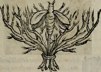 An illustration from Memorie, imprese, e ritratti de' signori Accademici Gelati de Bologna (1672)