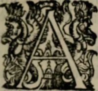An illustration from Memorie, imprese, e ritratti de' signori Accademici Gelati de Bologna (1672)