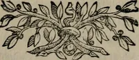 An illustration from Memorie, imprese, e ritratti de' signori Accademici Gelati de Bologna (1672)