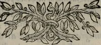 An illustration from Memorie, imprese, e ritratti de' signori Accademici Gelati de Bologna (1672)