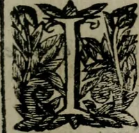 An illustration from Memorie, imprese, e ritratti de' signori Accademici Gelati de Bologna (1672)