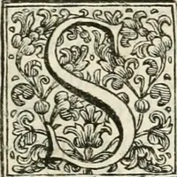 An illustration from Memorie istoriche della miracolosa immagine di Maria Vergine dell' Impruneta (1714)