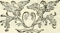 An illustration from Memorie istoriche della miracolosa immagine di Maria Vergine dell' Impruneta (1714)
