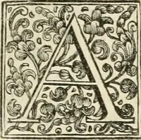 An illustration from Memorie istoriche della miracolosa immagine di Maria Vergine dell' Impruneta (1714)