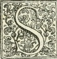 An illustration from Memorie istoriche della miracolosa immagine di Maria Vergine dell' Impruneta (1714)