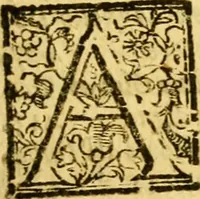 Picture 5 of 7 from Memorie istoriche della citta di Pisa (1682), leaf 22