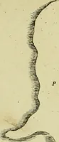 An illustration from Memorie istoriografiche delli regni della Morea e Negroponte e luoghi adiacenti (1686)