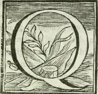 An illustration from Memorie Trevigiane : sulle opere di disegno dal mille e cento al mille ottocento : per servire alla storia delle belle arti d'Italia (1803)