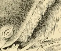 An illustration from Men, women and mirth ... (1909)