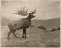 An illustration from Men of the old stone age : their environment, life and art (1916)