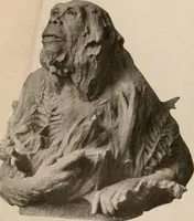 Picture 28 of 270 from Men of the old stone age : their environment, life and art (1916), leaf 108