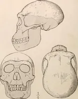An illustration from Men of the old stone age : their environment, life and art (1916)