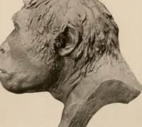 Picture 37 of 270 from Men of the old stone age : their environment, life and art (1916), leaf 116