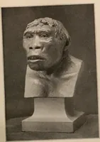 An illustration from Men of the old stone age : their environment, life and art (1916)