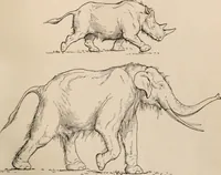 Picture 42 of 270 from Men of the old stone age : their environment, life and art (1916), leaf 128