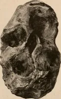 Picture 58 of 270 from Men of the old stone age : their environment, life and art (1916), leaf 156