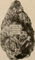 Picture 60 of 270 from Men of the old stone age : their environment, life and art (1916), leaf 156