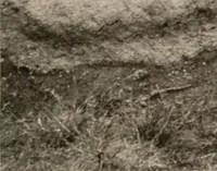 An illustration from Men of the old stone age : their environment, life and art (1916)