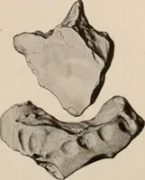 An illustration from Men of the old stone age : their environment, life and art (1916)