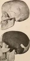 An illustration from Men of the old stone age : their environment, life and art (1916)