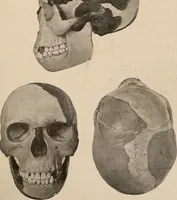An illustration from Men of the old stone age : their environment, life and art (1916)
