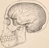 An illustration from Men of the old stone age : their environment, life and art (1916)