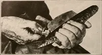 An illustration from Men of the old stone age : their environment, life and art (1916)