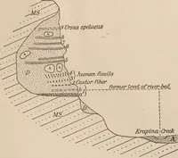 Picture 94 of 270 from Men of the old stone age : their environment, life and art (1916), leaf 218