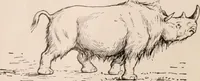 An illustration from Men of the old stone age : their environment, life and art (1916)