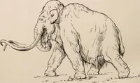 An illustration from Men of the old stone age : their environment, life and art (1916)