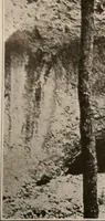 An illustration from Men of the old stone age : their environment, life and art (1916)