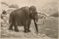 Picture 105 of 270 from Men of the old stone age : their environment, life and art (1916), leaf 243