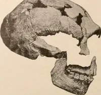 An illustration from Men of the old stone age : their environment, life and art (1916)