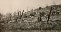 An illustration from Men of the old stone age : their environment, life and art (1916)