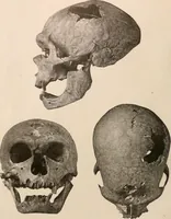 An illustration from Men of the old stone age : their environment, life and art (1916)