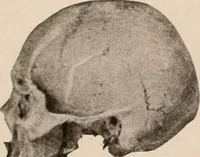 An illustration from Men of the old stone age : their environment, life and art (1916)