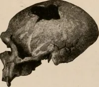 An illustration from Men of the old stone age : their environment, life and art (1916)