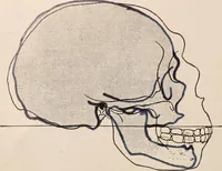 An illustration from Men of the old stone age : their environment, life and art (1916)