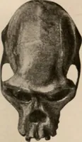 Picture 117 of 270 from Men of the old stone age : their environment, life and art (1916), leaf 266