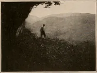 An illustration from Men of the old stone age : their environment, life and art (1916)